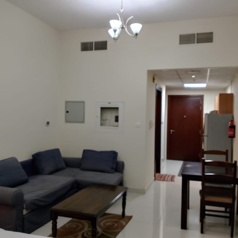 WhatsApp Image 2025-09-17 at 1.39.26 PM (1)